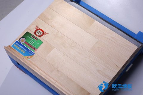 荊州運(yùn)動館室內(nèi)木地板