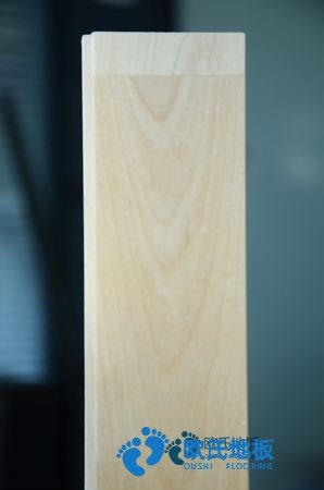 楓樺木籃球館木地板保養(yǎng)