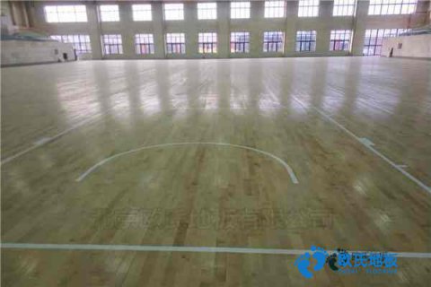 學?；@球場館地板標準尺寸