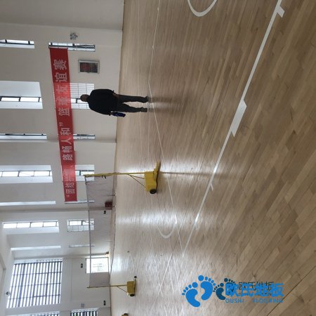 學(xué)?；@球館地板木紋型