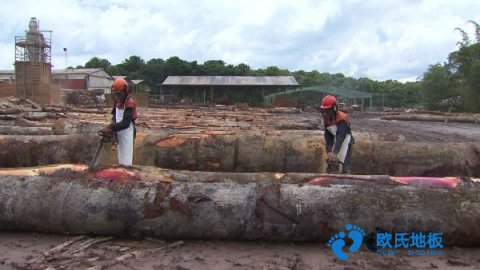 質(zhì)量好運動場館木地板施工團(tuán)隊