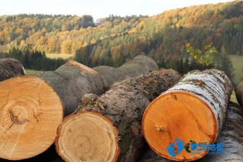 學(xué)?；@球地板減震技術(shù)