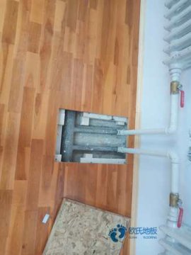 校園運(yùn)動木地板