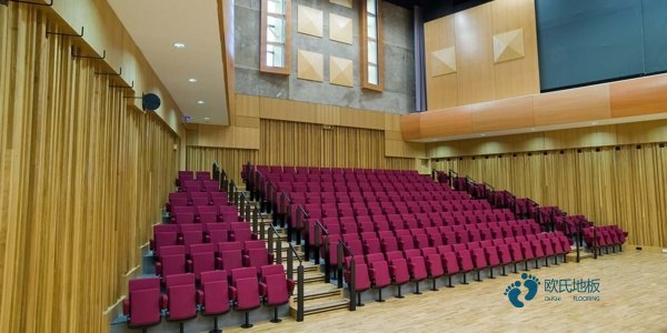 國標(biāo)運(yùn)動場木地板3