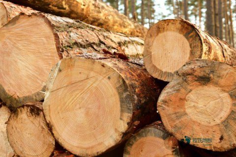 購買籃球場(chǎng)地板哪個(gè)品牌好