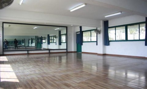 松木舞臺(tái)運(yùn)動(dòng)體育地板較好的有哪些牌子