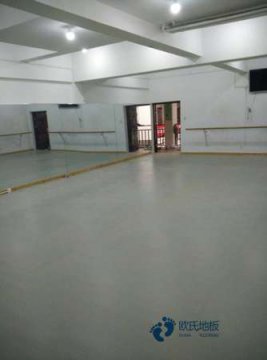 20厚運(yùn)動(dòng)型地板行業(yè)品牌